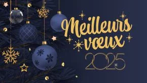 Meilleurs voeux 2025 par l'équipe Propel TP
