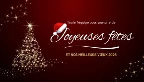Meilleurs voeux 2026 !